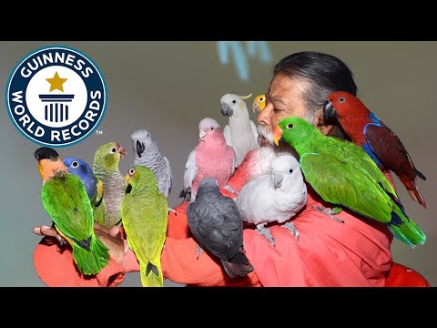 Most bird species in an aviary - Guinness World Records