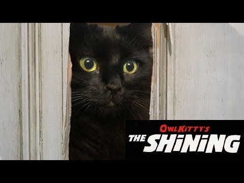The Shining + My cat (HD)