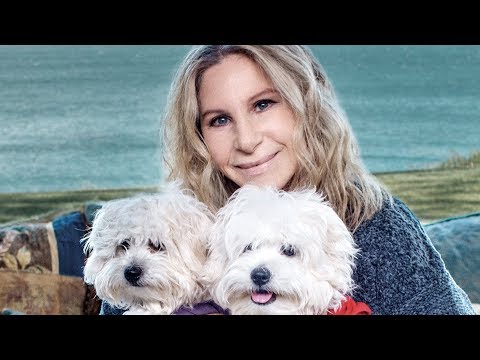 Barbra Streisand&#039;s Clone Dogs