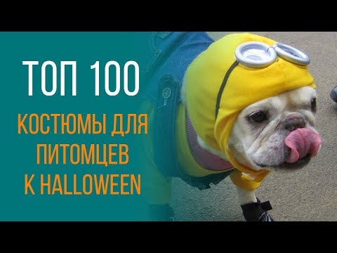 Костюмы на хэллоуин 2017 | ТОП 100