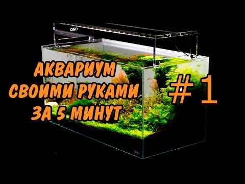 #1 Аквариум своими руками за 5 минут. How to make an Fish Tank