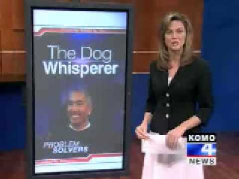 Are the Dog Whisperer&#039;s methods harmful ?