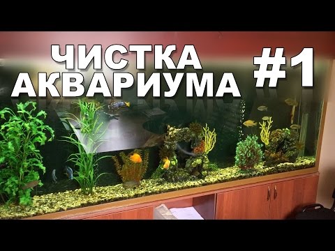 Чистка аквариума своими руками #1