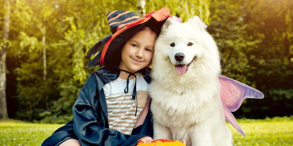 Samoyed with a child