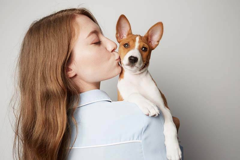 girl holding a basenji in her arms