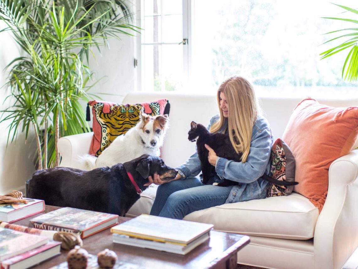 10 dog breeds that are comfortable living in an apartment