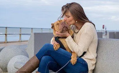 Sharpei with the owner