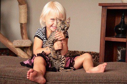 Savannah kitten with baby