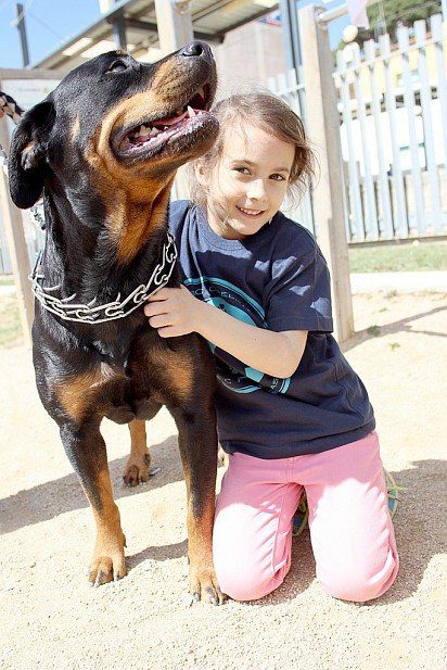 Rottweiler with a child