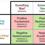 4 Keys to Conditional Reinforcement