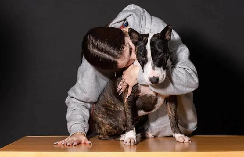 girl hugging a bull terrier