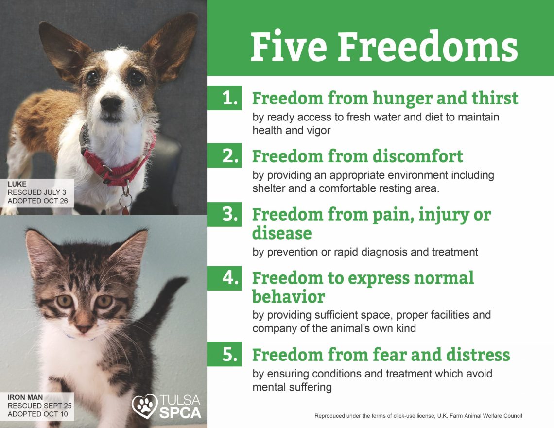 5 cat freedoms