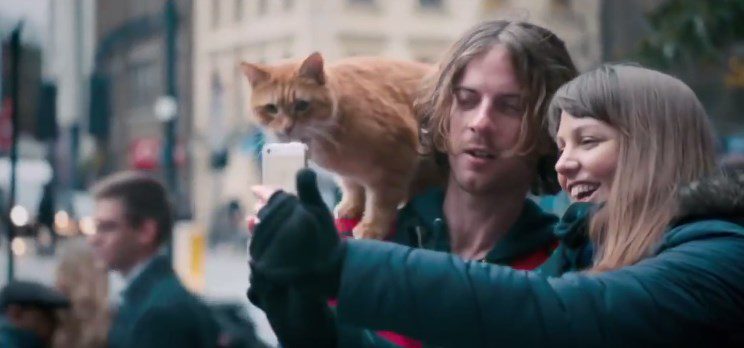 5 Cat Movies That Changed Peoples Lives