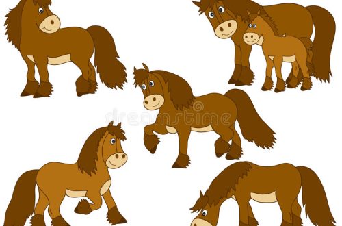 5 hobuste karikatuuri