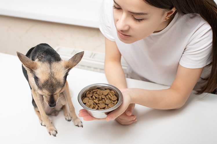 5 reasons why your dog is losing weight