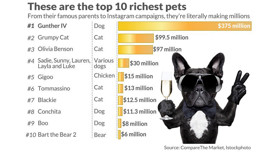 5 richest animal millionaires
