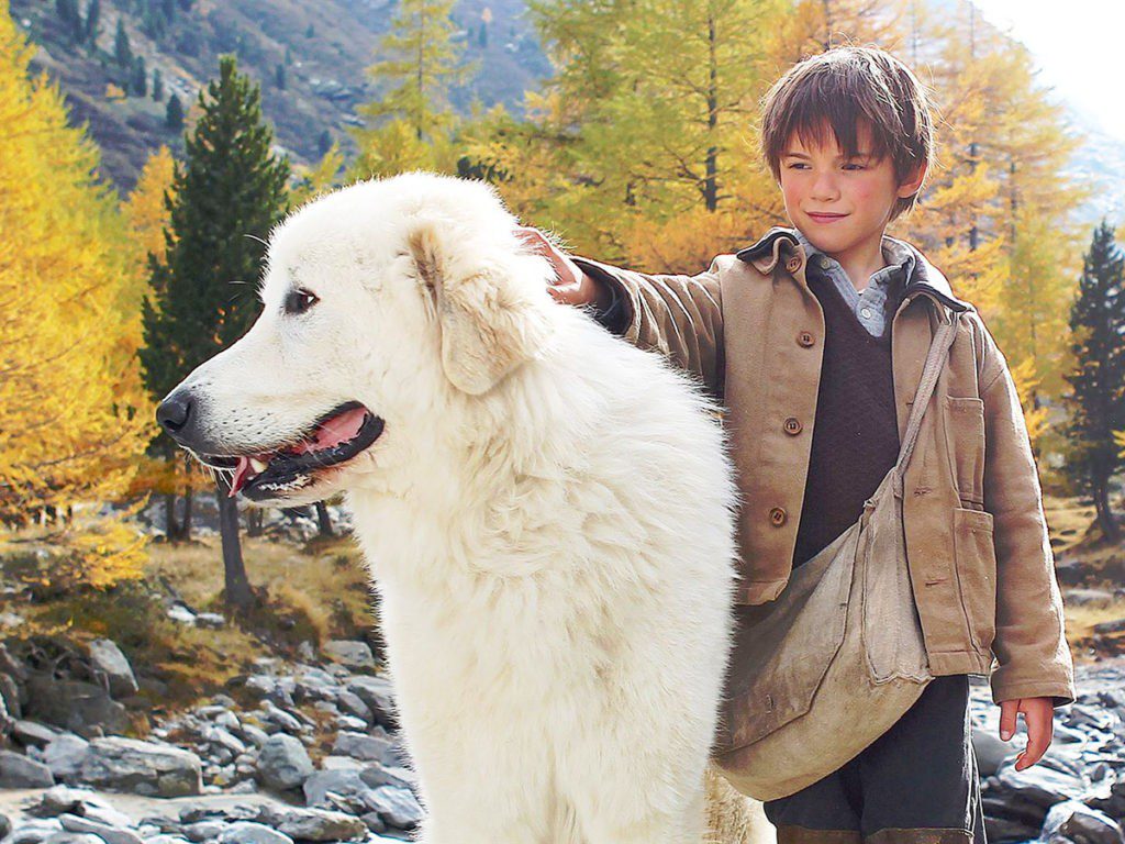 5 touching films about dogs and their people