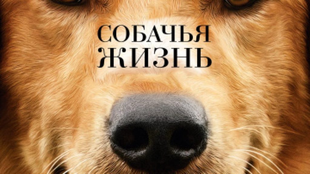 5 touching films about dogs and their people