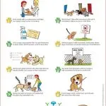6 rules for socializing a puppy