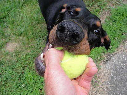 Хочу мячик!