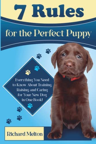 7 important rules for any puppy