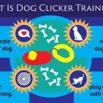 8 Facts About Clicker Dog Training