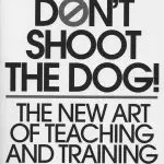 8 rules of shaping for dogs