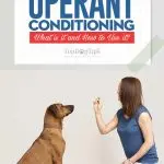 9 Benefits of Operant Dog Training