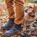 How to take care of your dog&#8217;s paws in autumn?