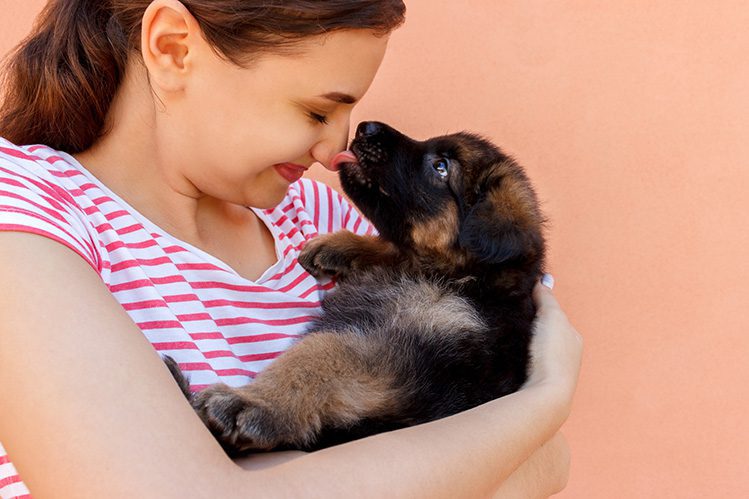 9 Rules for Successfully Raising a Puppy