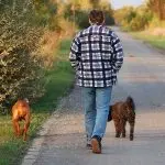 A dog is better than a gym!
