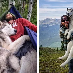 A photographer and his wolfdog show the world the beauty of nature
