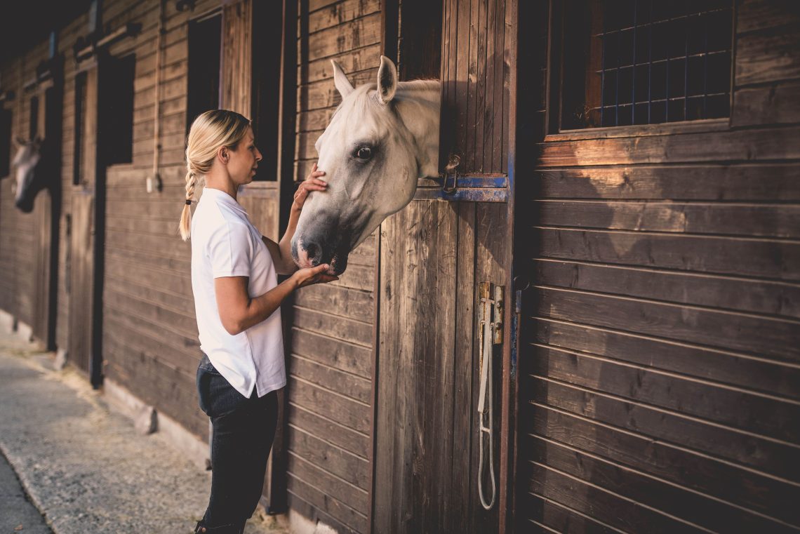 A stable for horses or for people?