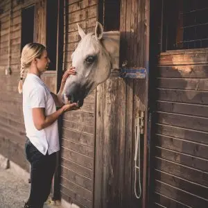 A stable for horses or for people?