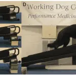 Acclimatization of dogs