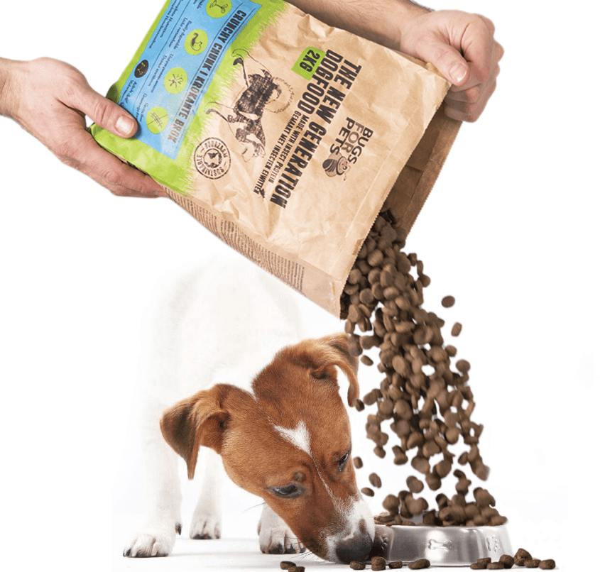 Alternative food for dogs with allergies