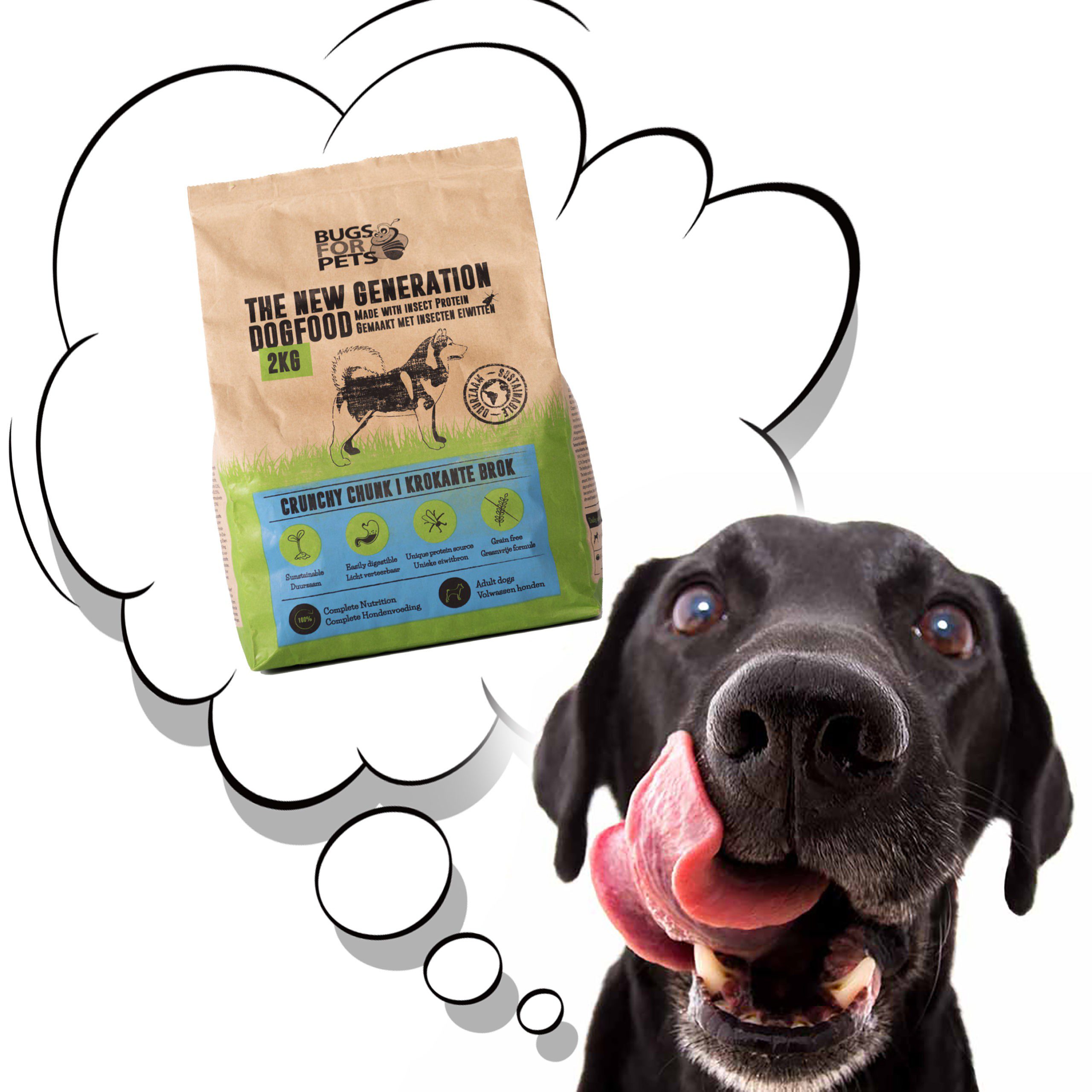 Alternative food for dogs with allergies