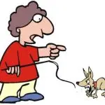 An aggressive dog is a dog that gets punished