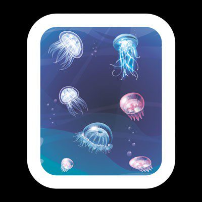 Aquarium jellyfish: maintenance and care at home
