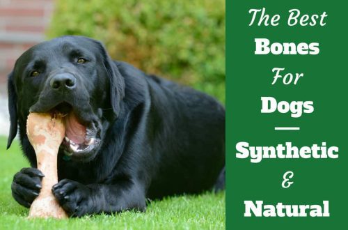Are artificial bones good for dogs?