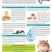 Vitamin deficiency in rodents
