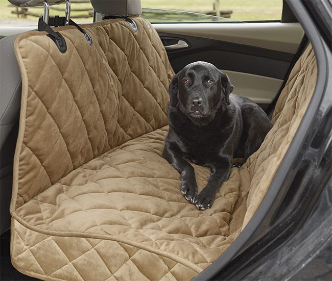Auto gadgets for dogs