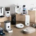 Automatic cat feeder with dispenser: buying guide