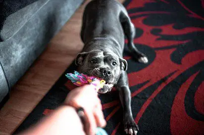 tug of war