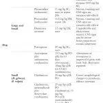 Babesiosis in dogs: treatment