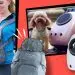 GPS tracker for dogs