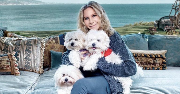 Barbra Streisand loved her dog so much that she cloned her...twice!