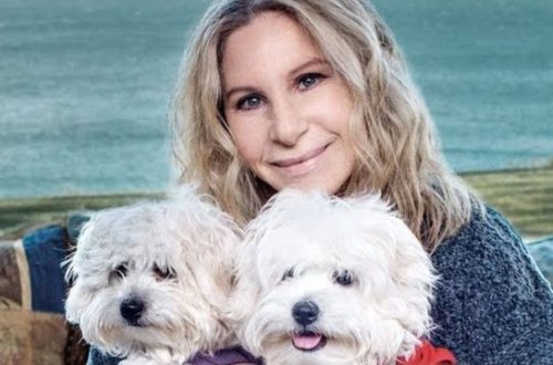 Barbra Streisand loved her dog so much that she cloned her&#8230;twice!