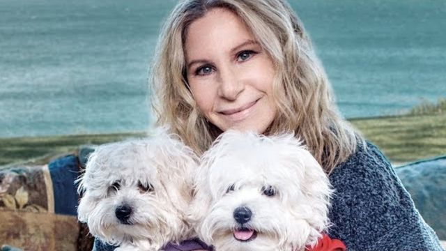 Barbra Streisand loved her dog so much that she cloned her&#8230;twice!