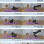 Basic Fitness for Show Dogs: Exercises